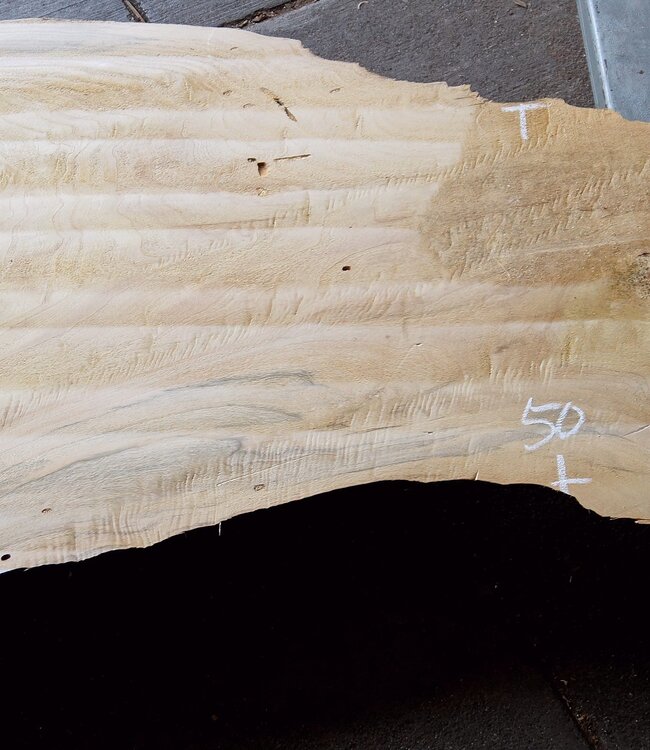 Pappel Maserplatte, ca. 2600 x 750/500/770/800 x 65 mm,  13189