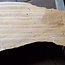 Poplar burl, Mappa slab, approx. 2600 x 750/500/770/800 x 65mm, 13189