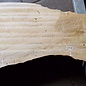 Pappel Maserplatte, ca. 2600 x 750/500/770/800 x 65 mm,  13189