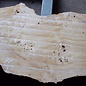 Poplar burl, Mappa slab, approx. 2600 x 750/500/770/800 x 65mm, 13189