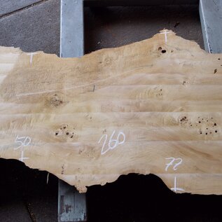 Poplar burl, Mappa slab, approx. 2600 x 750/500/770/800 x 65mm, 13189