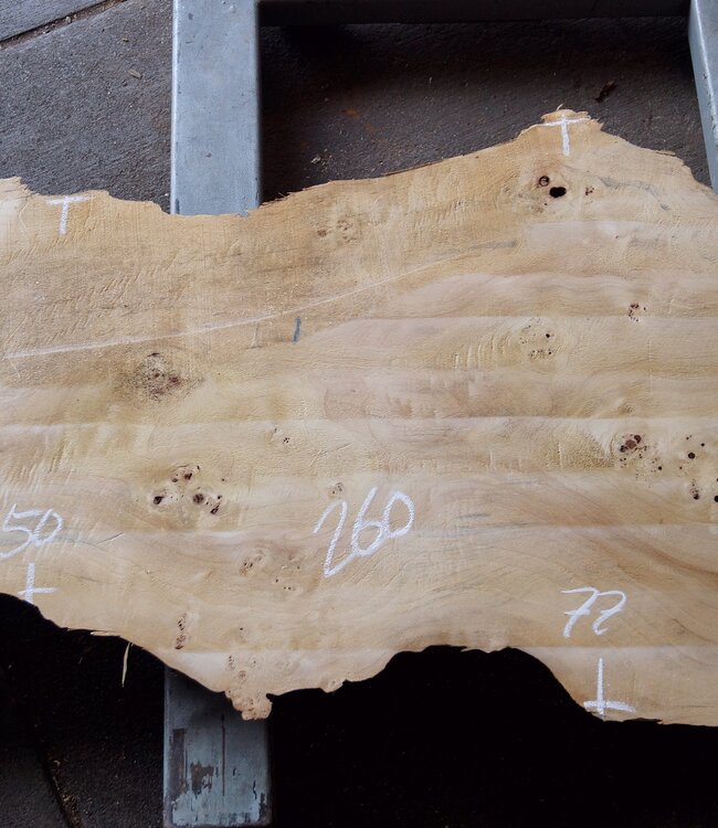 Pappel Maserplatte, ca. 2600 x 750/500/770/800 x 65 mm,  13189