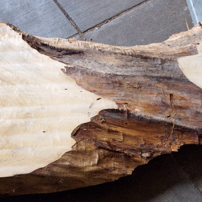 Pappel Maserplatte, ca. 2600 x 750/500/770/800 x 65 mm,  13189