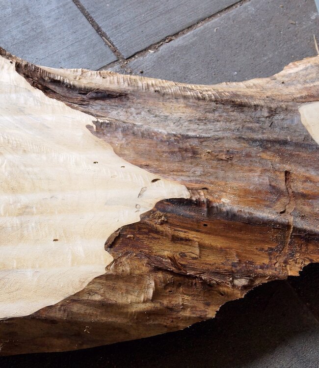 Pappel Maserplatte, ca. 2600 x 750/500/770/800 x 65 mm,  13189