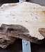 Poplar burl, Mappa slab, approx. 2600 x 750/500/770/800 x 65mm, 13189