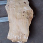 Poplar burl, Mappa slab, approx. 2400 x 660/400/340 x 70mm, 13190