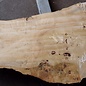 Poplar burl, Mappa slab, approx. 2400 x 660/400/340 x 70mm, 13190