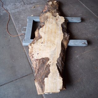 Poplar burl, Mappa slab, approx. 2400 x 660/400/340 x 70mm, 13190