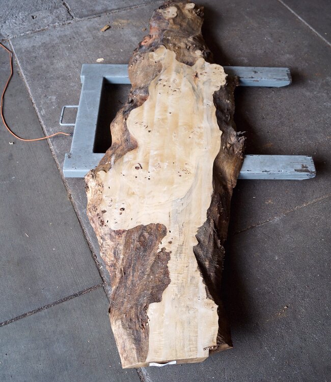 Pappel Maserplatte, ca. 2400 x 660/400/340 x 70 mm, 13190