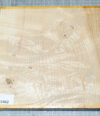 Esche, Maser, ca. 240 x 240 x 50 mm, 2 kg