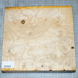 Esche, Maser, ca. 230 x 220 x 50 mm, 1,9 kg