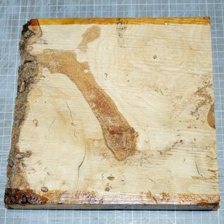 Ash, burl, approx. 230 x 220 x 50 mm, 1,9 kg