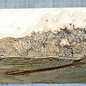 Ash, burl, approx. 230 x 220 x 50 mm, 1,9 kg