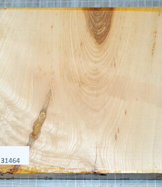 Esche, Maser, ca. 210 x 210 x 65 mm, 1,9 kg