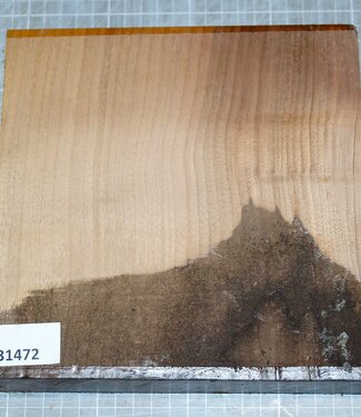 Europ. Walnut, approx. 200 x 200 x 43 mm, 1,2 kg