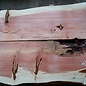 Redwood Tischplatten Paar, ca. 3300 x 440(530)/520(580) x 65 mm, 13193 a+b