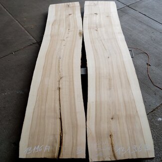 Olivesche Tischplatten Paar, ca. 3000 x 590/590 x 52 mm, 13196