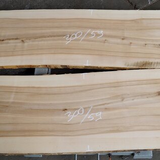 Oliv ash table top pair, approx. 3000 x 590/590 x 52 mm, 13196