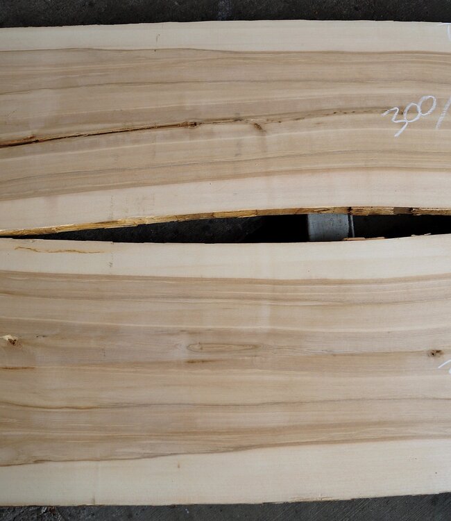 Oliv ash table top pair, approx. 3000 x 590/590 x 52 mm, 13196