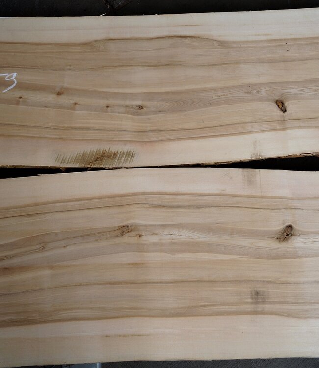 Oliv ash table top pair, approx. 3000 x 590/590 x 52 mm, 13196