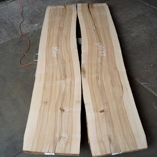 Oliv ash table top pair, approx. 3000 x 590/590 x 52 mm, 13196