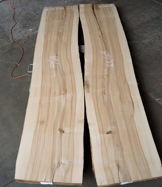 Olivesche Tischplatten Paar, ca. 3000 x 590/590 x 52 mm, 13196