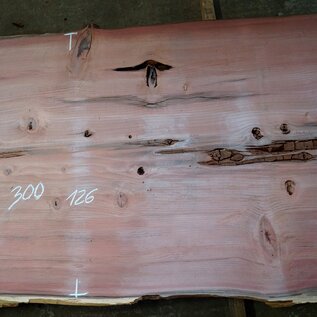 Redwood Tischplatte, ca. 3000 x 1260 x 80 mm, 11441