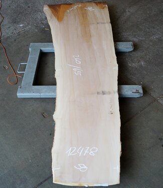 Europ. Plane, approx. 2600 x 650 x 65 mm, 12478