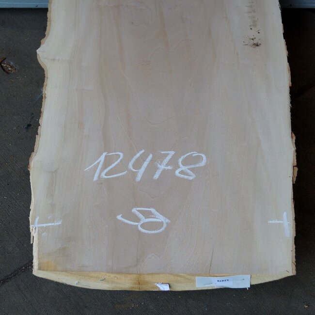 Europ. Plane, approx. 2600 x 650 x 65 mm, 12478