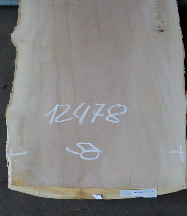 Europ. Plane, approx. 2600 x 650 x 65 mm, 12478