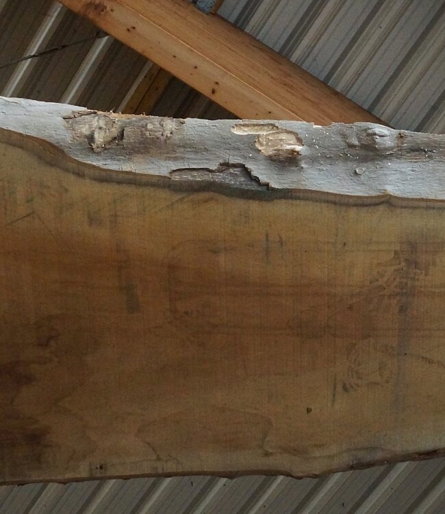 Europ. Plane, approx. 2600 x 650 x 65 mm, 12478