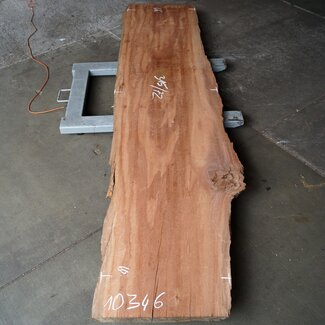 Moabi, ca. 3150 x 660 x 50 mm, 10346