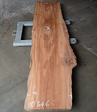 Moabi, approx. 3150 x 660 x 50 mm, 10346