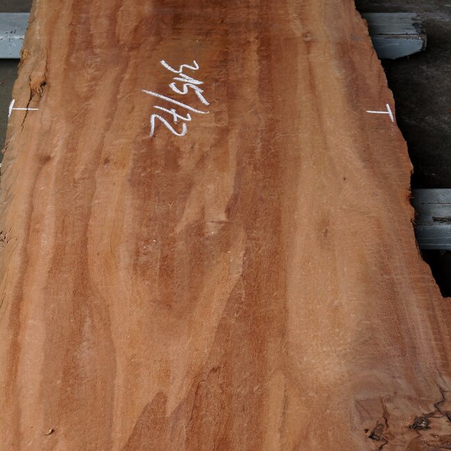 Moabi, ca. 3150 x 660 x 50 mm, 10346