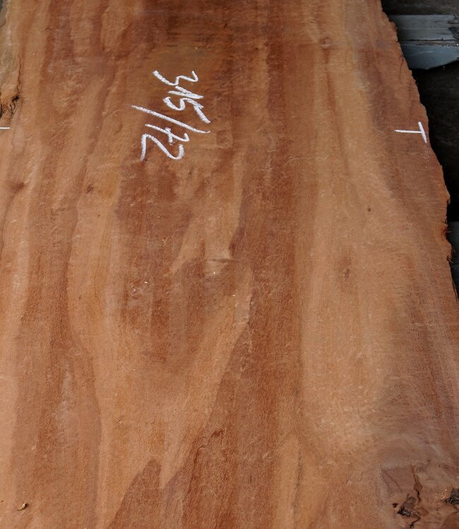 Moabi, approx. 3150 x 660 x 50 mm, 10346