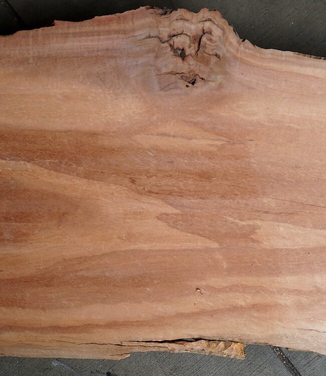 Moabi, approx. 3150 x 660 x 50 mm, 10346