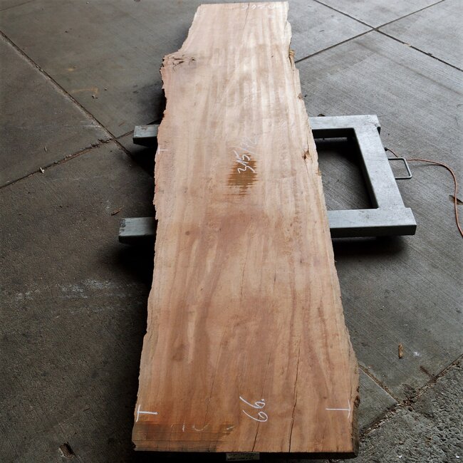 Moabi, approx. 3150 x 660 x 50 mm, 10346