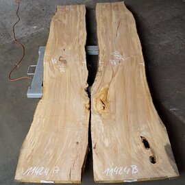 Olive table top pair, approx. 2 x 2750 x 500 x 50 mm, 12815ab