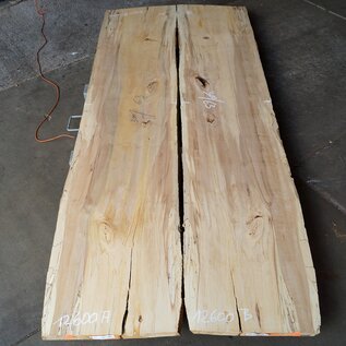 Spalted beech table top pair, approx. 2 x 3000 x 630 x 42 mm, 12815ab