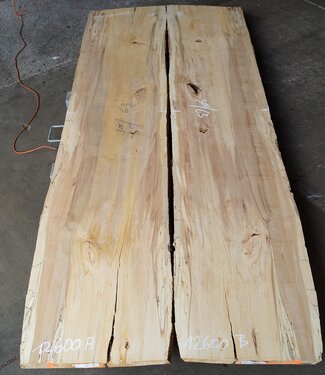 Spalted beech table top pair, approx. 2 x 3000 x 630 x 42 mm, 12815ab
