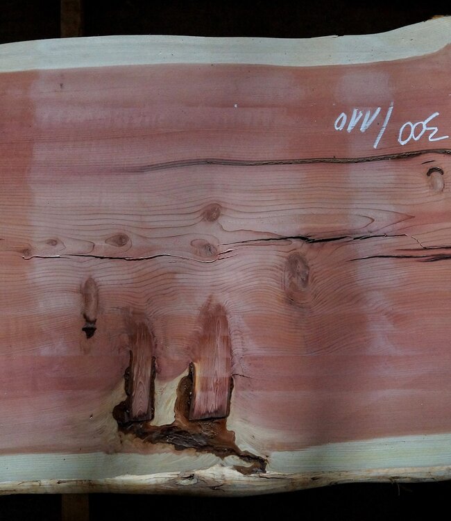 Redwood Tischplatte, ca. 3000 x 1000(1100) x 100 mm, 12908