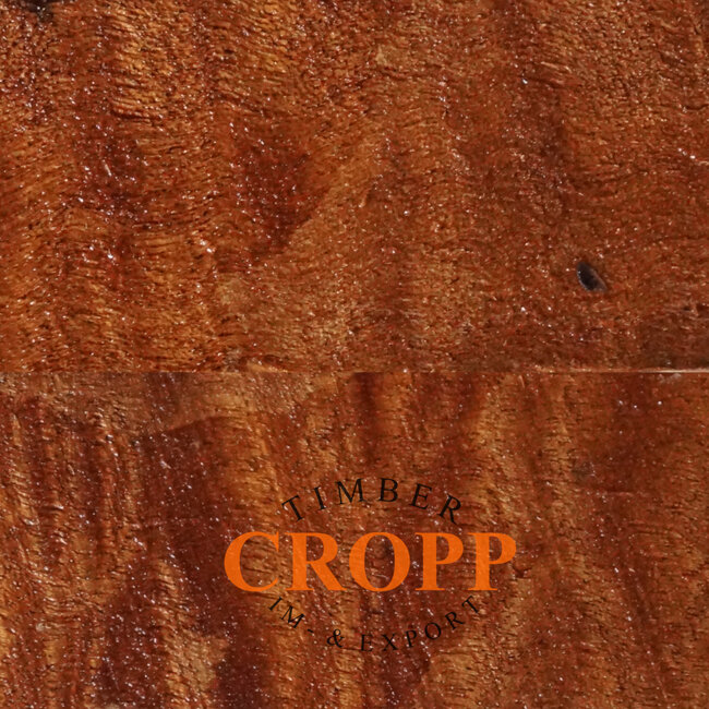 Div. Maße - Sapeli pommelé Mahagoni Kantel