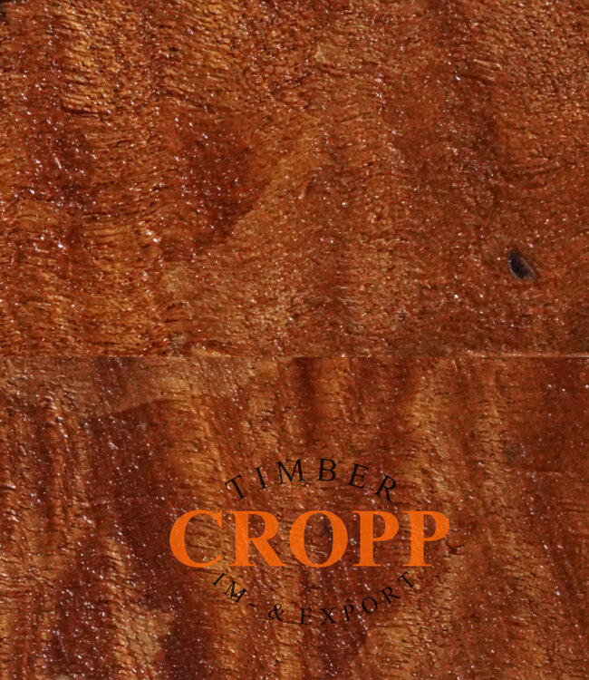 Sapeli pommelé Mahogany Dimension