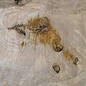 Esche, Maser, ca. 300 x 300 x 52mm, 3,3kg