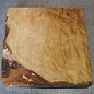 Ash, burl, approx. 300 x 300 x 52mm, 3,3kg