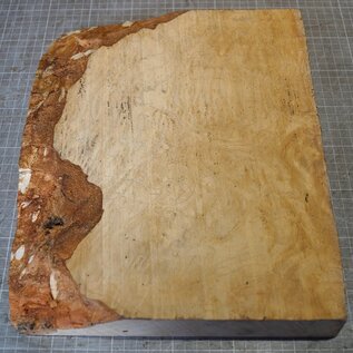 Ash, burl, approx. 330 x 275 x 50mm, 3,1kg