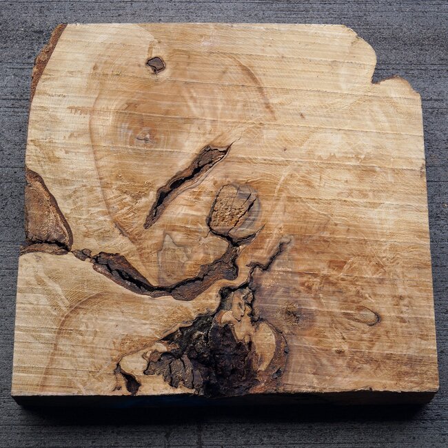 Esche, Maser, ca. 370 x 355 x 50mm, 5kg