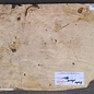 Ash, burl, approx. 420 x 340 x 55mm, 3,5kg