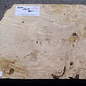 Ash, burl, approx. 420 x 340 x 55mm, 3,5kg