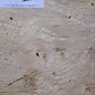 Esche, Maser, ca. 420 x 340 x 55mm, 3,5kg